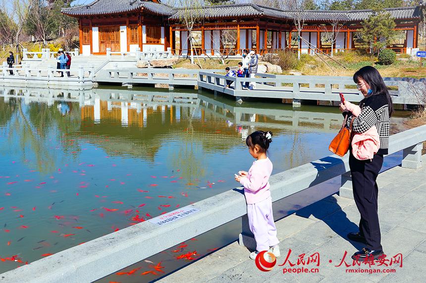雄安悅?cè)莨珗@一角，不少家長帶著孩子前來游玩。人民網(wǎng)宋燁文攝