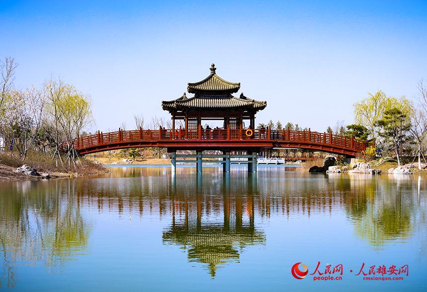 雄安悅?cè)莨珗@一角，微風吹動水面，泛起陣陣漣漪。人民網(wǎng)宋燁文攝