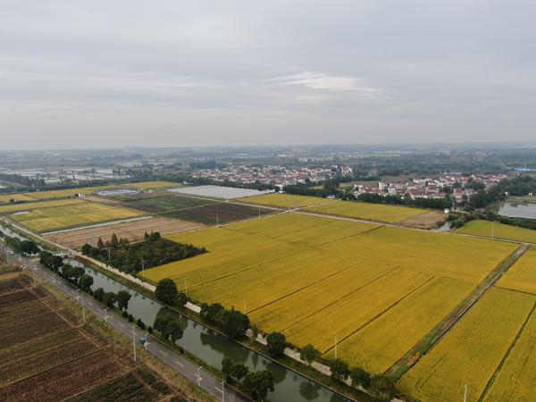 雙游村。受訪者供圖