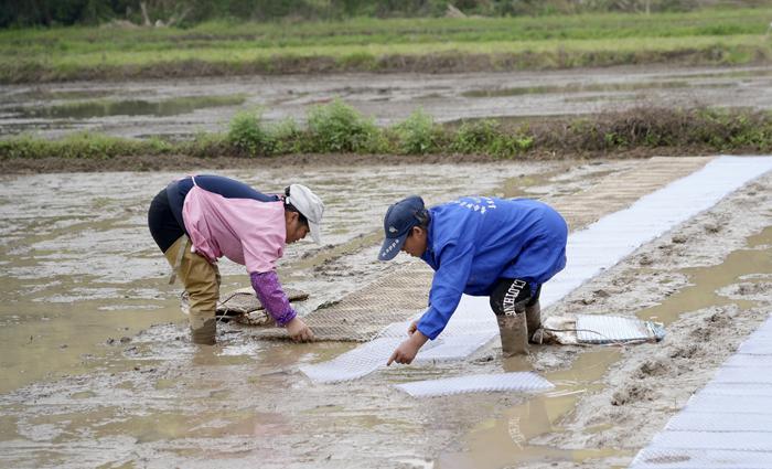 de6342de52c5a58da8e2c4c248541631_LOCAL1680223697069GH28JYLB4F.jpg de6342de52c5a58da8e2c4c248541631_LOCAL1680223697069GH28JYLB4F.jpg