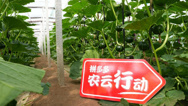 67cce07aee86f0cd4b64abe77513db6e_202304034d09b7c1f9e64d1f92b20103b90023f4_2023040310326c9ba8cb4aa58d0e17fcff0dfe11.png 67cce07aee86f0cd4b64abe77513db6e_202304034d09b7c1f9e64d1f92b20103b90023f4_2023040310326c9ba8cb4aa58d0e17fcff0dfe11.png