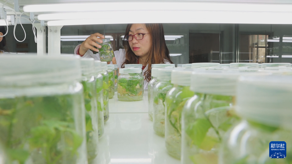 7d7c0c9ac991057595c594bf34b58d9c_20230616e3e3aa385ac341be9183522e4c9a6561_202306153181406db19c49589116d58c792f4145.jpg 7d7c0c9ac991057595c594bf34b58d9c_20230616e3e3aa385ac341be9183522e4c9a6561_202306153181406db19c49589116d58c792f4145.jpg