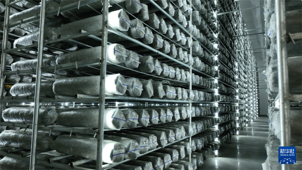 93d05a1fdbccf96a0581a91ddae416af_20230616e3e3aa385ac341be9183522e4c9a6561_20230615cf04c48ec4394321bc54eabb2b339ba4.jpg 93d05a1fdbccf96a0581a91ddae416af_20230616e3e3aa385ac341be9183522e4c9a6561_20230615cf04c48ec4394321bc54eabb2b339ba4.jpg