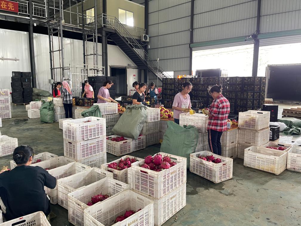 dad61eb4dadb402e8424b947890d5418_1129791164_16914071866121n.jpg dad61eb4dadb402e8424b947890d5418_1129791164_16914071866121n.jpg