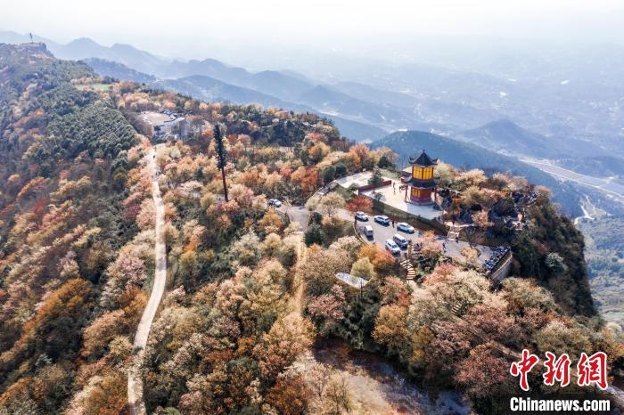 b42b58a81952c7ec79c858e56a2f36f9_df9109c0-ee46-4681-9f78-bd1f05a8c419_zsite.jpg b42b58a81952c7ec79c858e56a2f36f9_df9109c0-ee46-4681-9f78-bd1f05a8c419_zsite.jpg