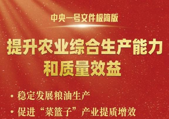 中央一號(hào)文件，極簡(jiǎn)版來(lái)了！