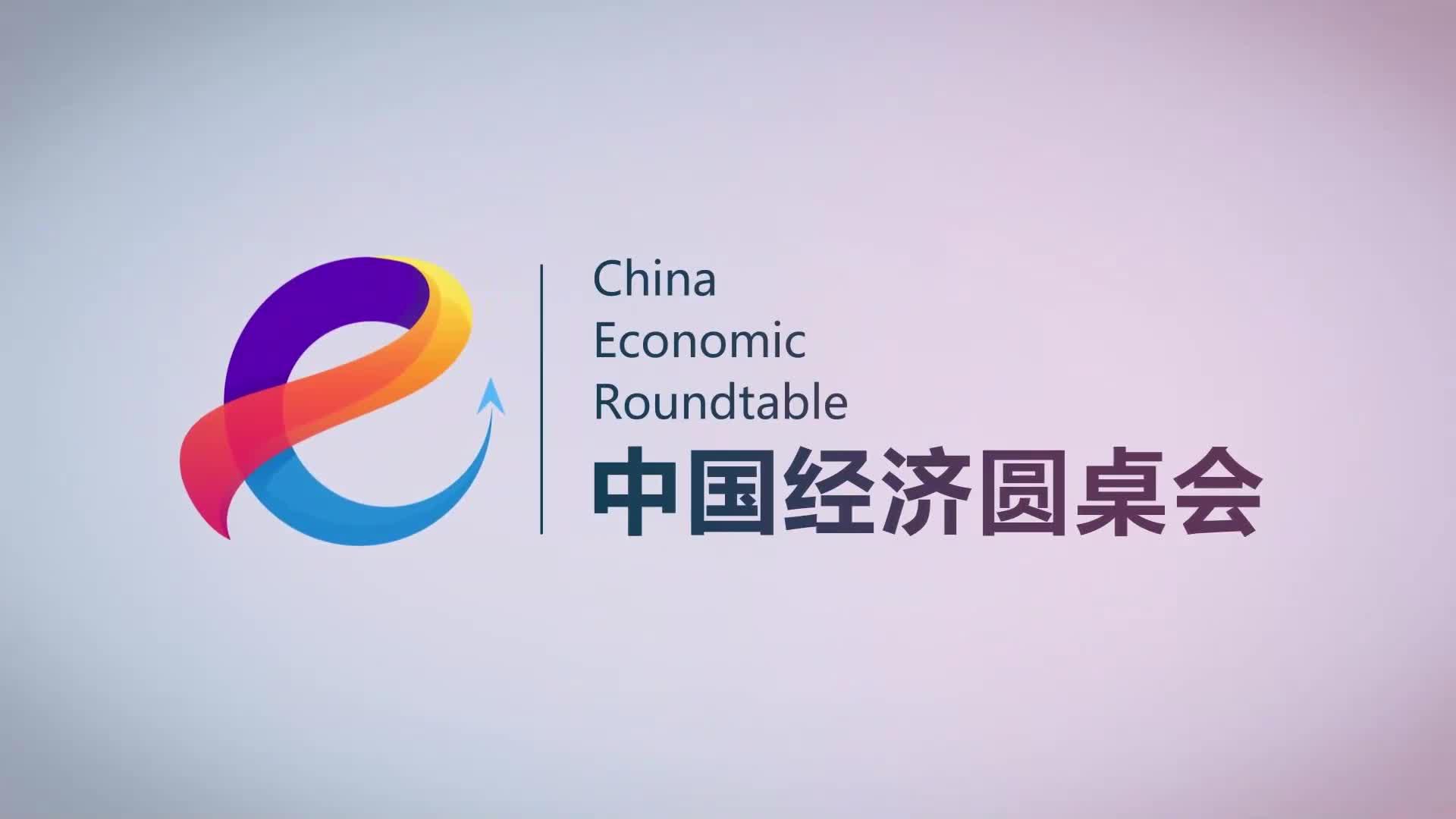 “中國經(jīng)濟圓桌會”共話民營經(jīng)濟促進法出臺