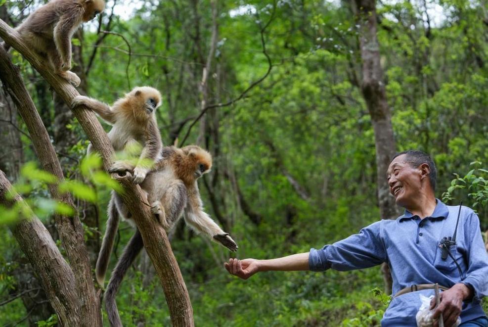 首次立法！國家公園筑起“法治屏障”